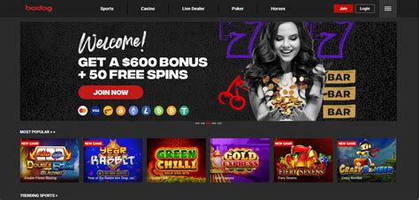 Best Bodog & Casino Bonus Codes .